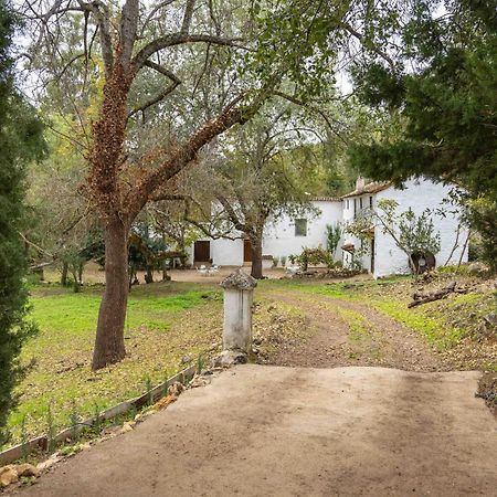 Molino De Gris Cazorla Villa Chilluevar Buitenkant foto
