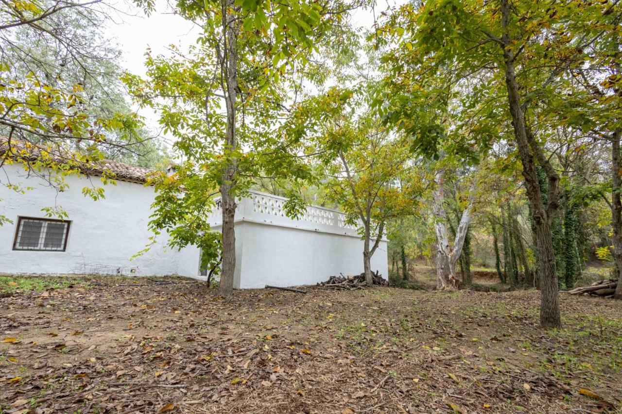 Molino De Gris Cazorla Villa Chilluevar Buitenkant foto