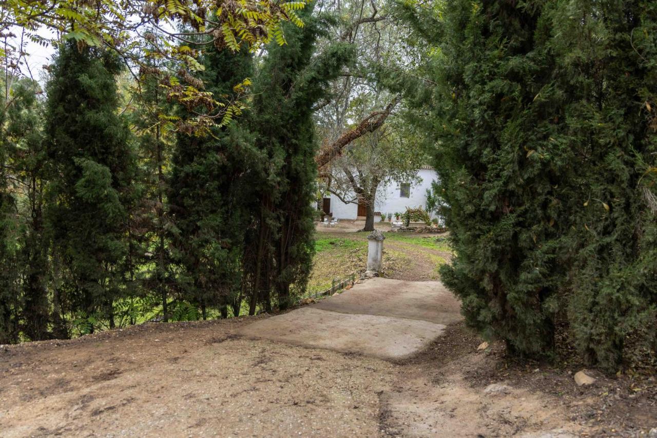 Molino De Gris Cazorla Villa Chilluevar Buitenkant foto